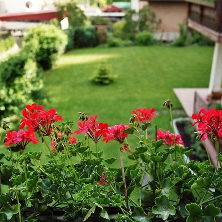 Ferienwohnungen Im Herzen Des Pfaelzerwaldes Elmstein Luaran gambar