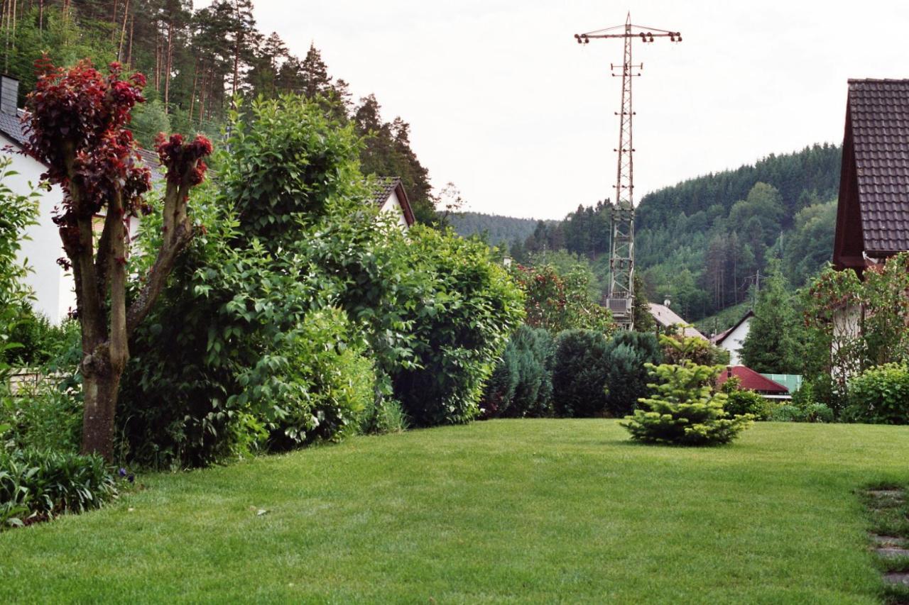 Ferienwohnungen Im Herzen Des Pfaelzerwaldes Elmstein Luaran gambar