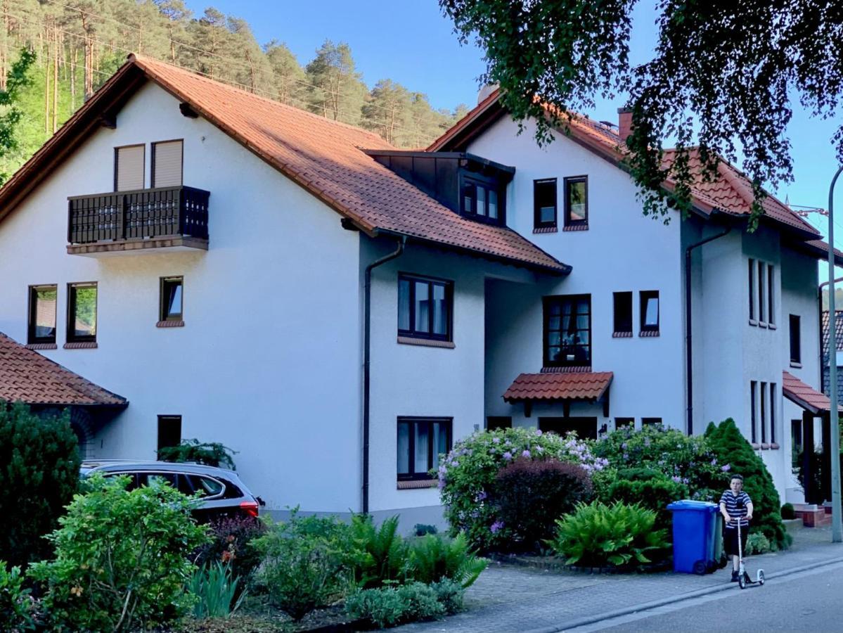 Ferienwohnungen Im Herzen Des Pfaelzerwaldes Elmstein Luaran gambar