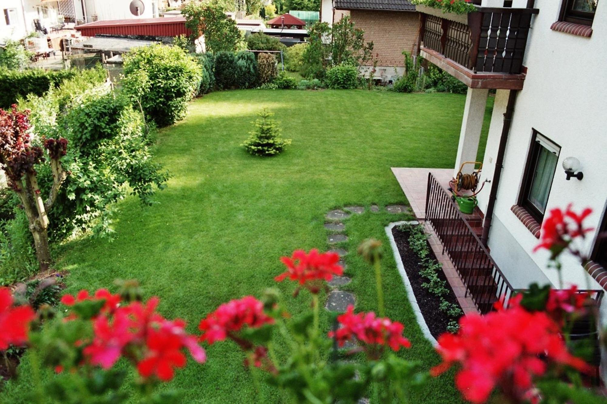 Ferienwohnungen Im Herzen Des Pfaelzerwaldes Elmstein Bilik gambar